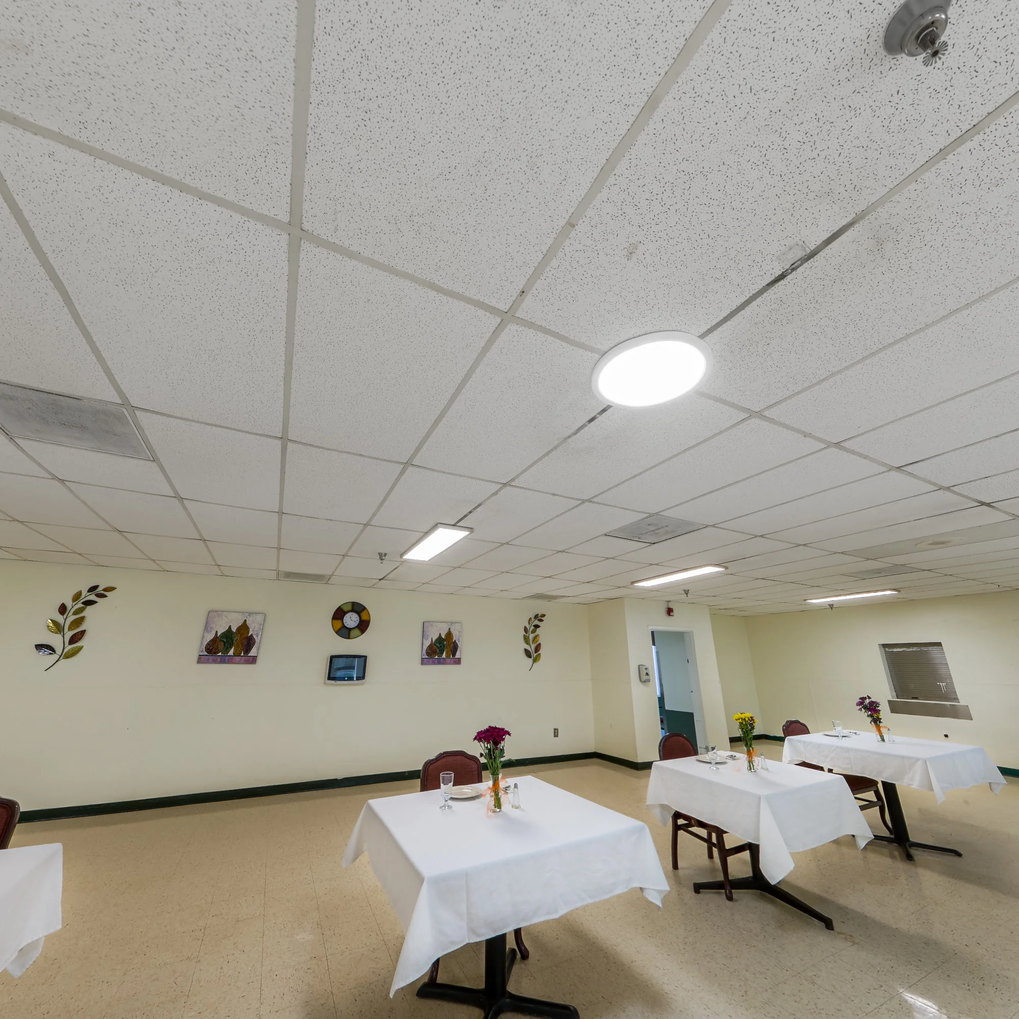 PruittHealth - Augusta