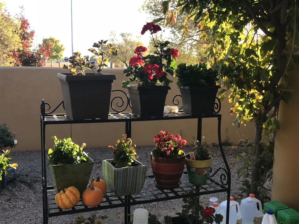 Ravenna Assisted Living