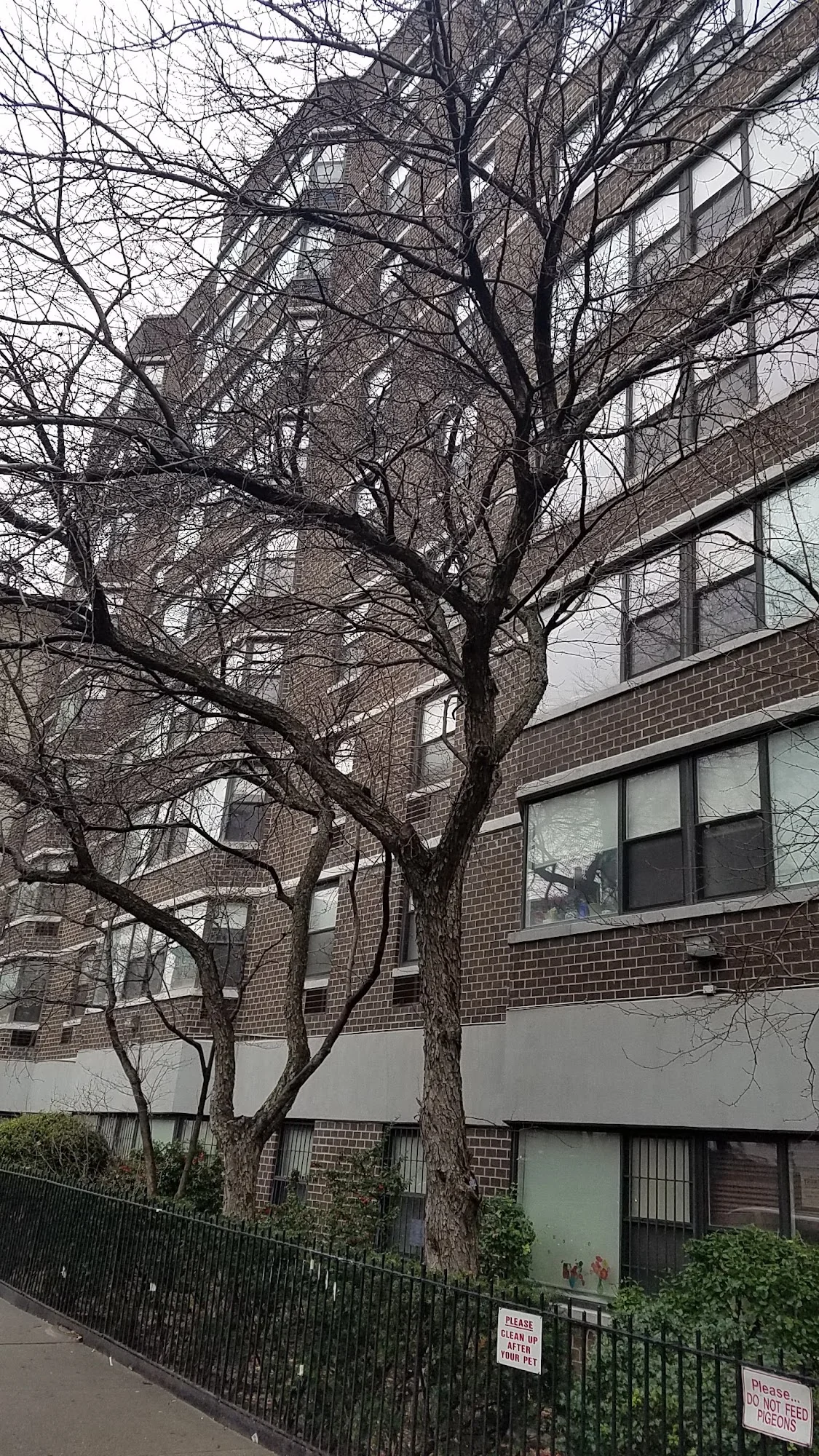 Red Oak Apartments