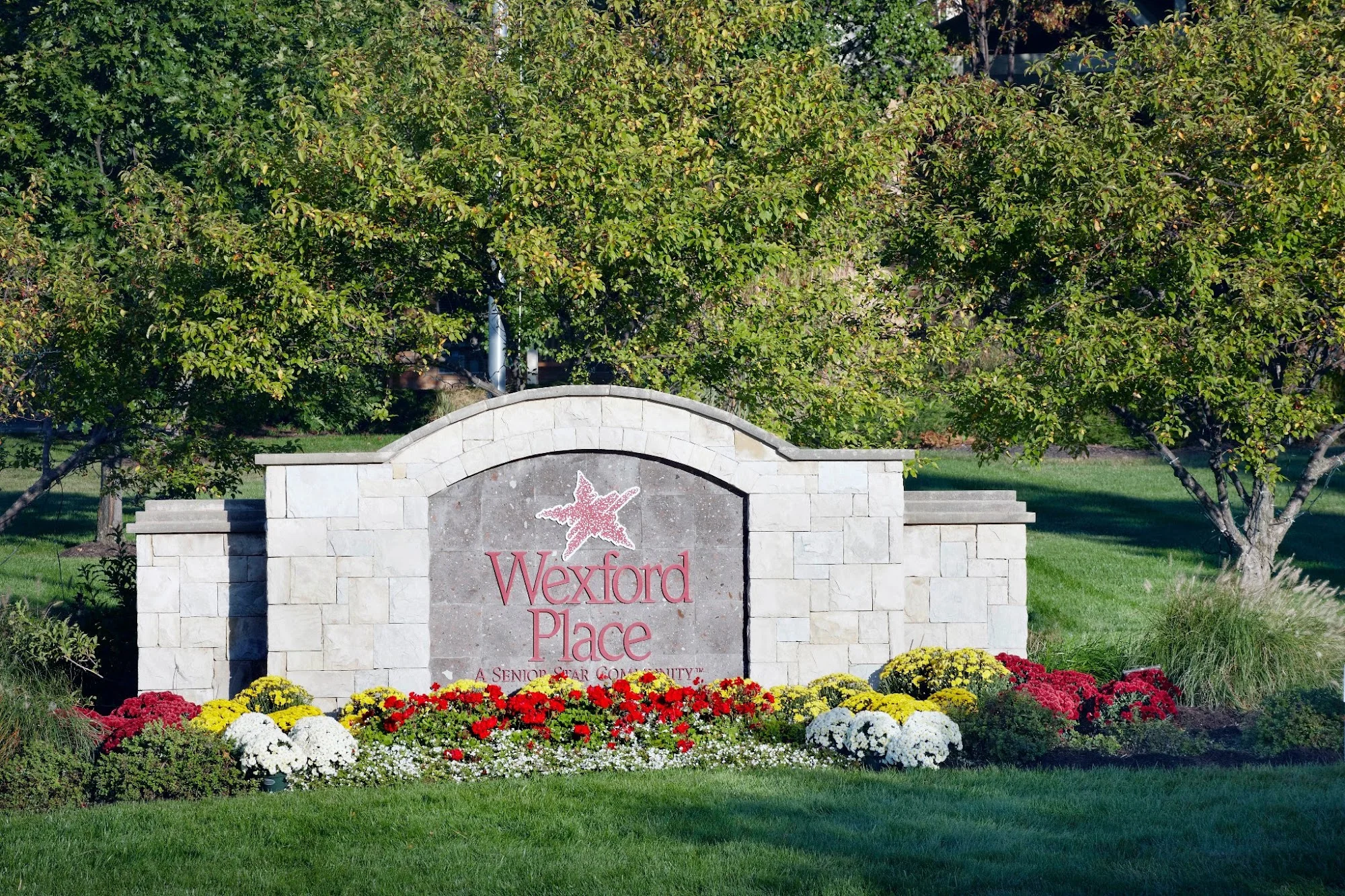 Senior Star Wexford Place