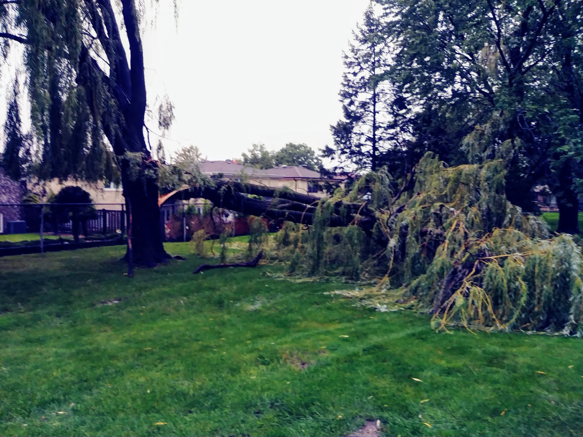 Senior Suites of Norwood Park