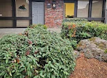Serenity Hospice