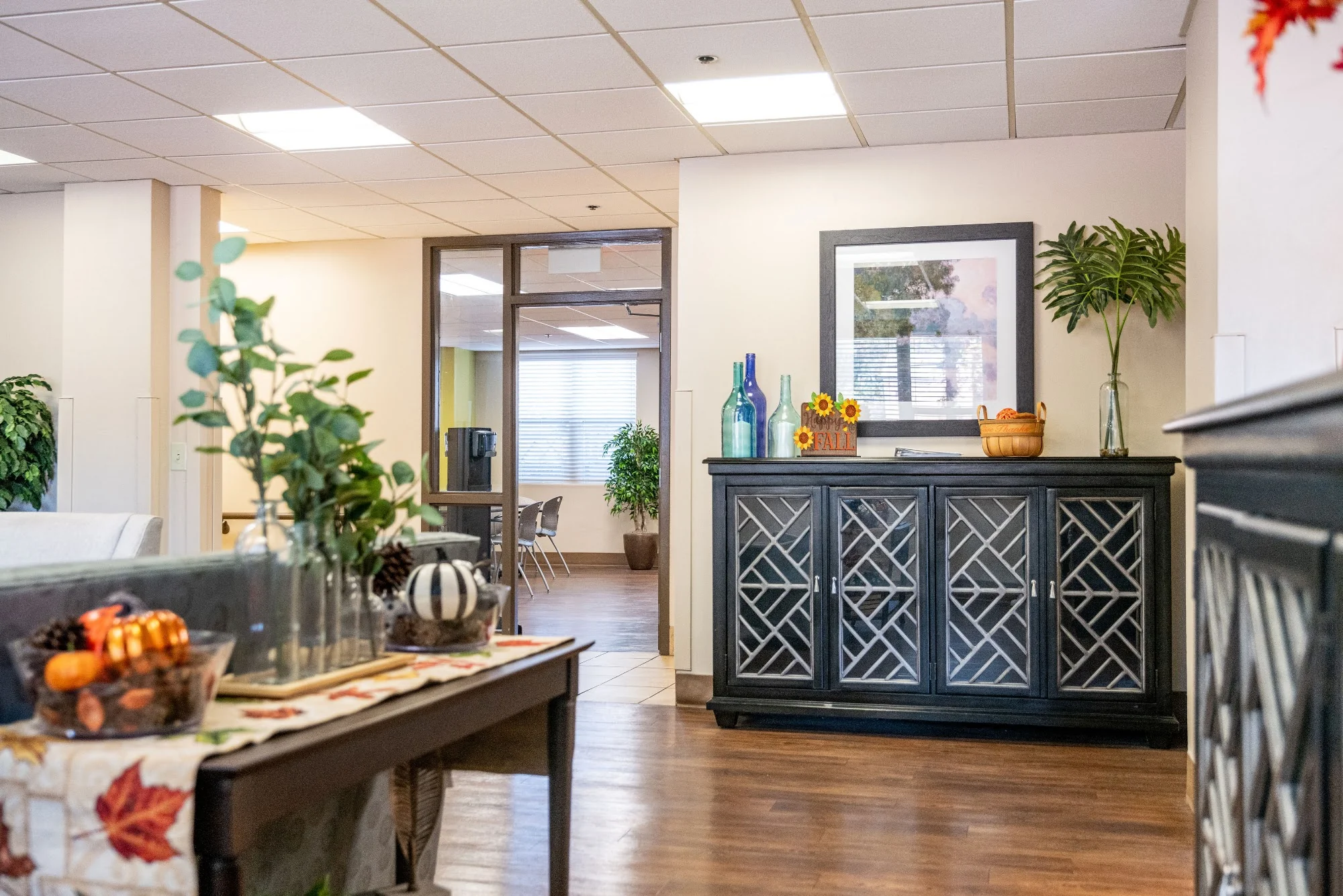 Silvertree Seniors of Atlanta