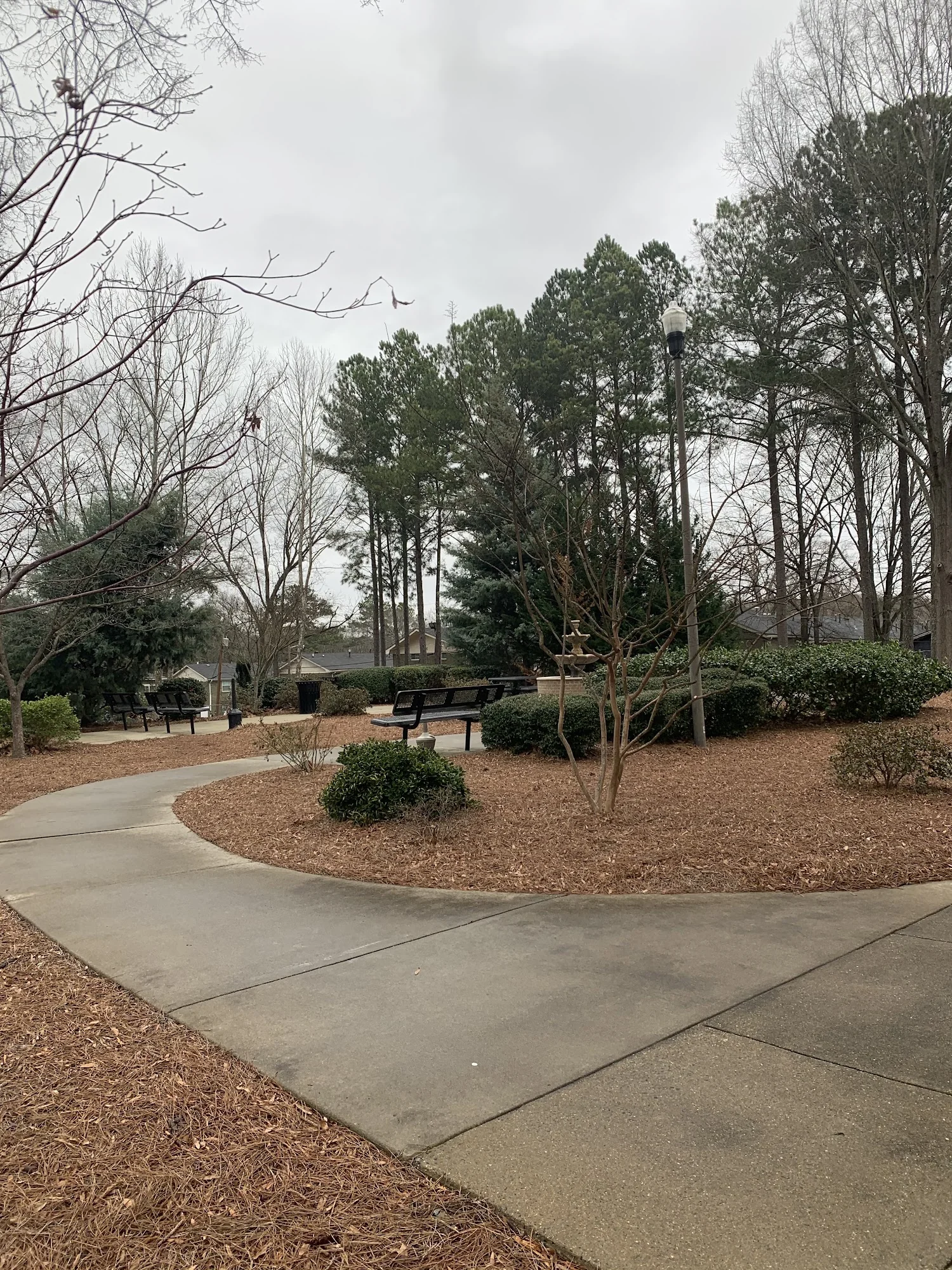Silvertree Seniors of Atlanta