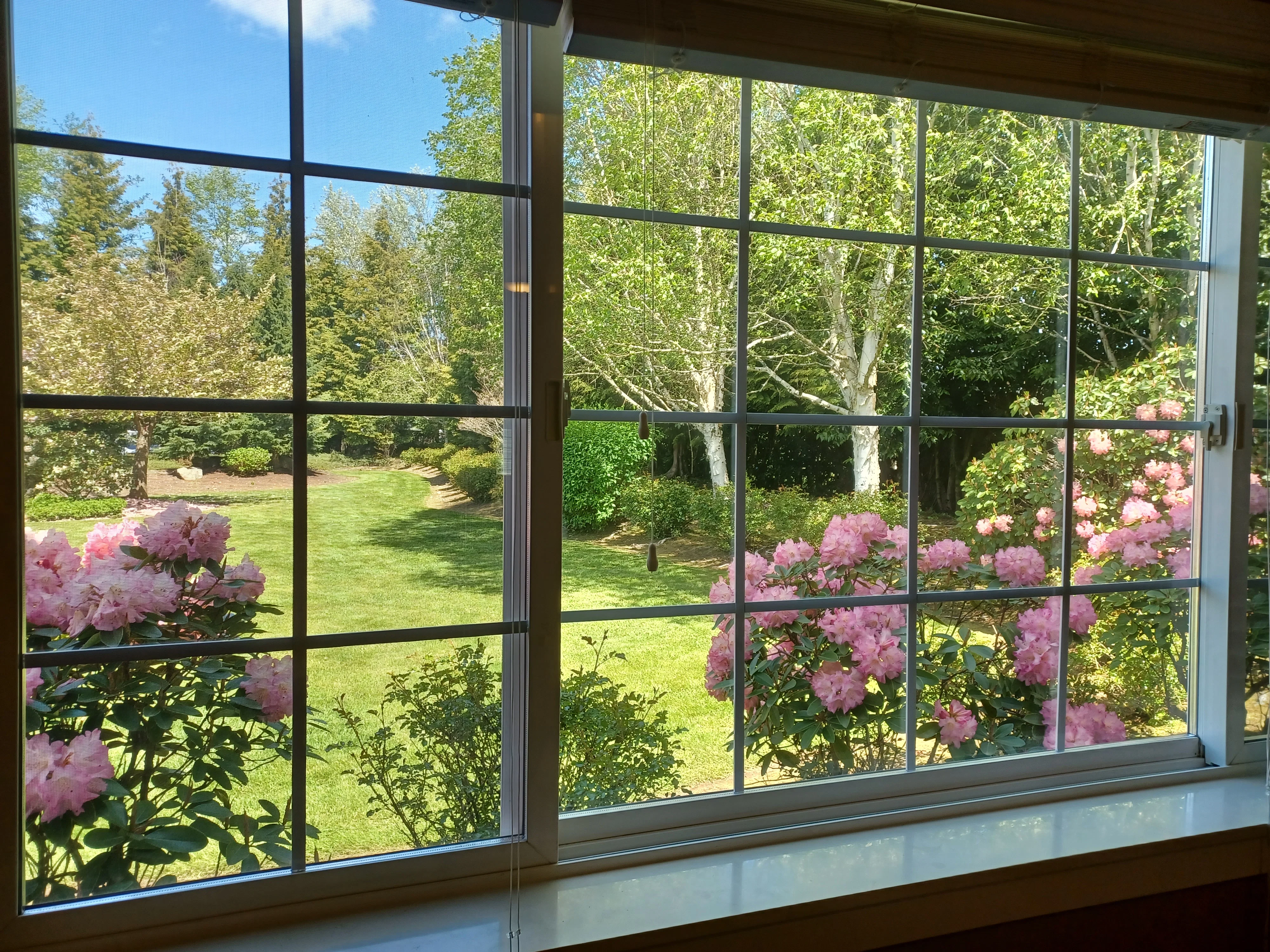 SOUTH POINTE ASSISTED LIVING