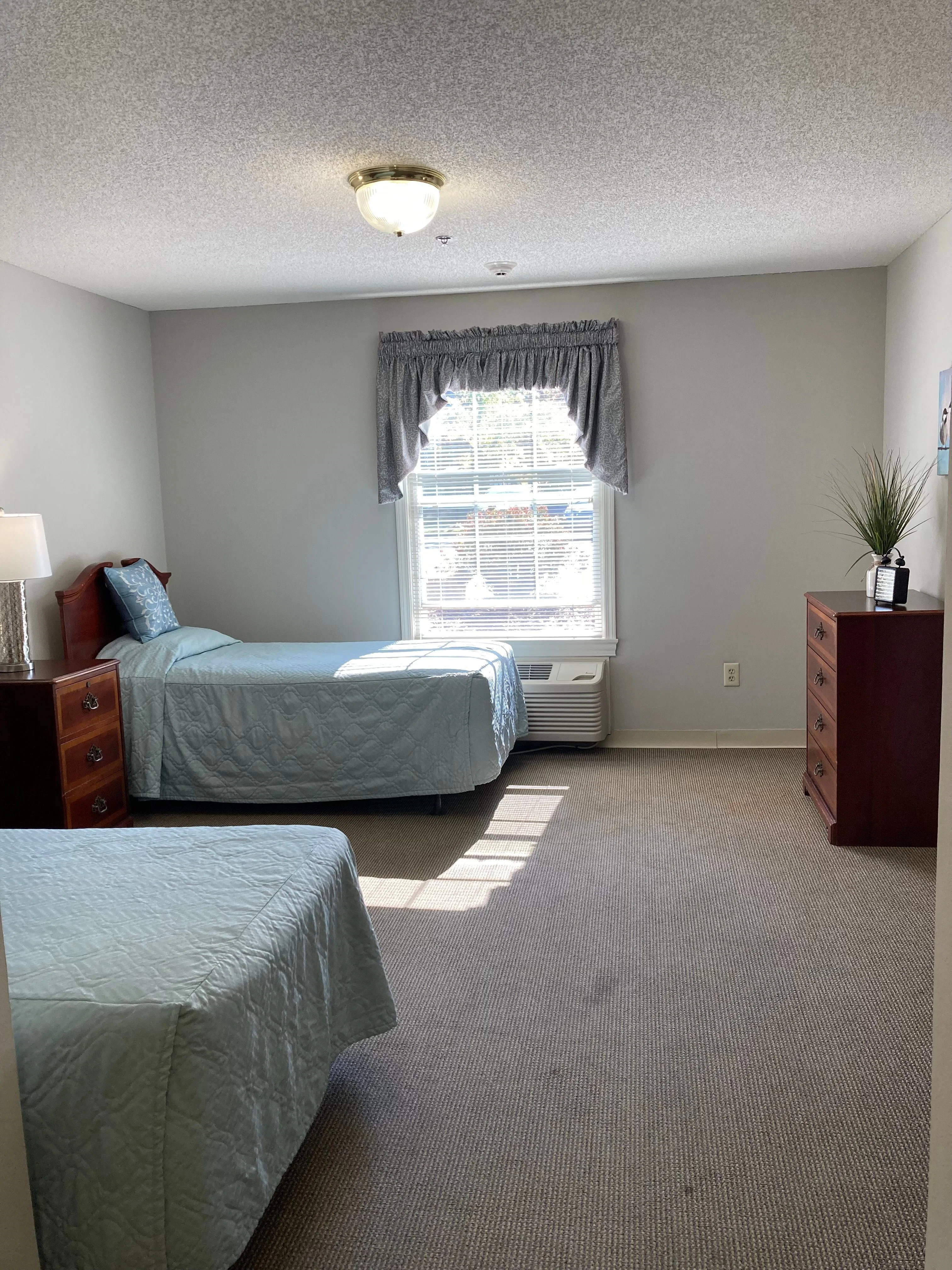 SPRING ARBOR OF ALBEMARLE