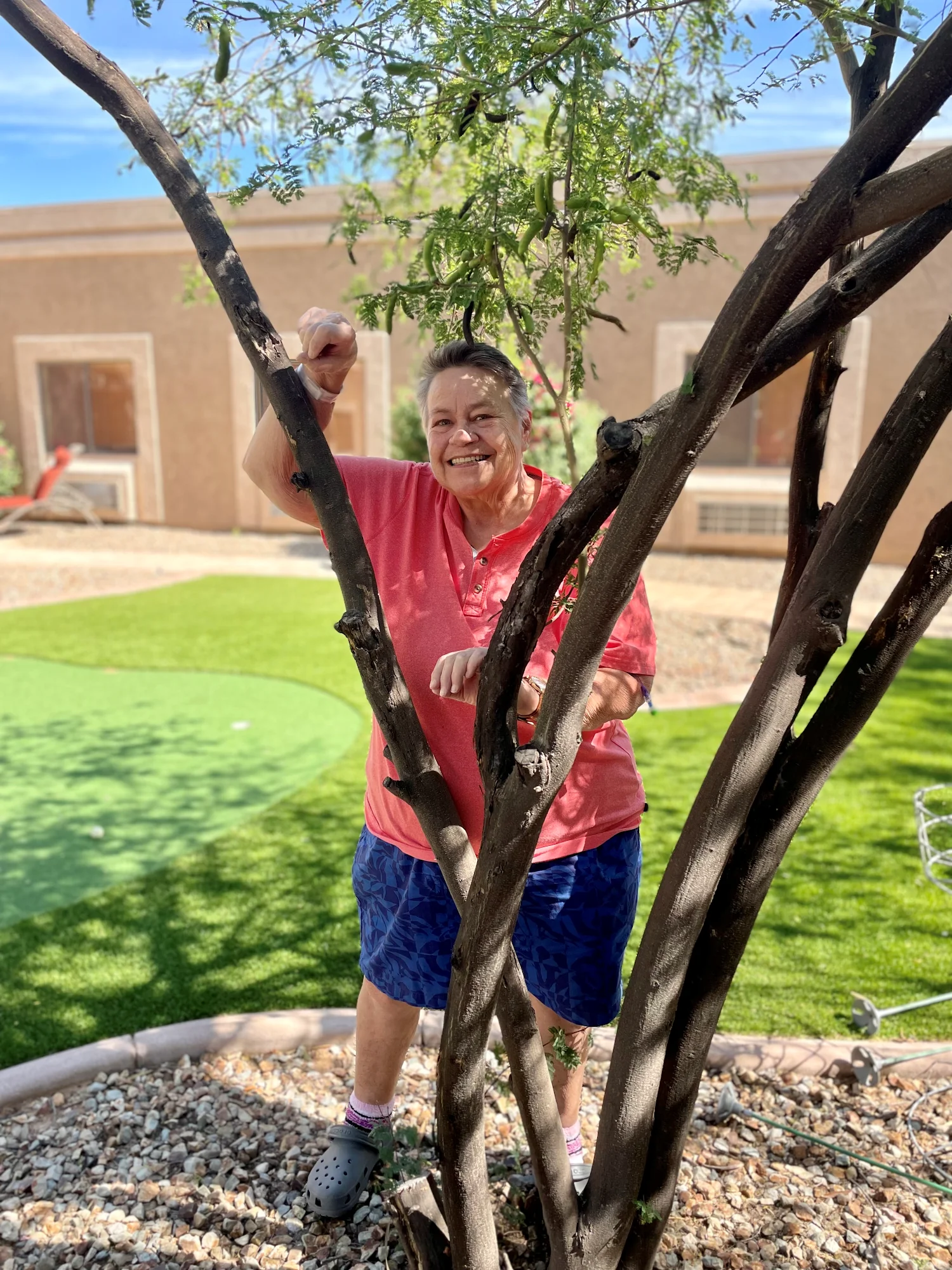 Springdale Village Assisted Living Facility & Independent Living Apartments in Mesa Arizona