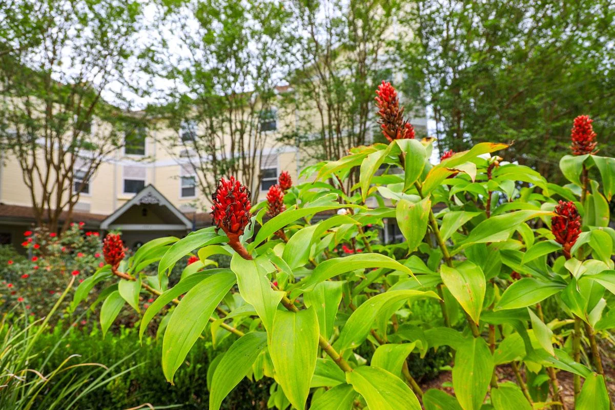 St Francis Villa Assisted Living