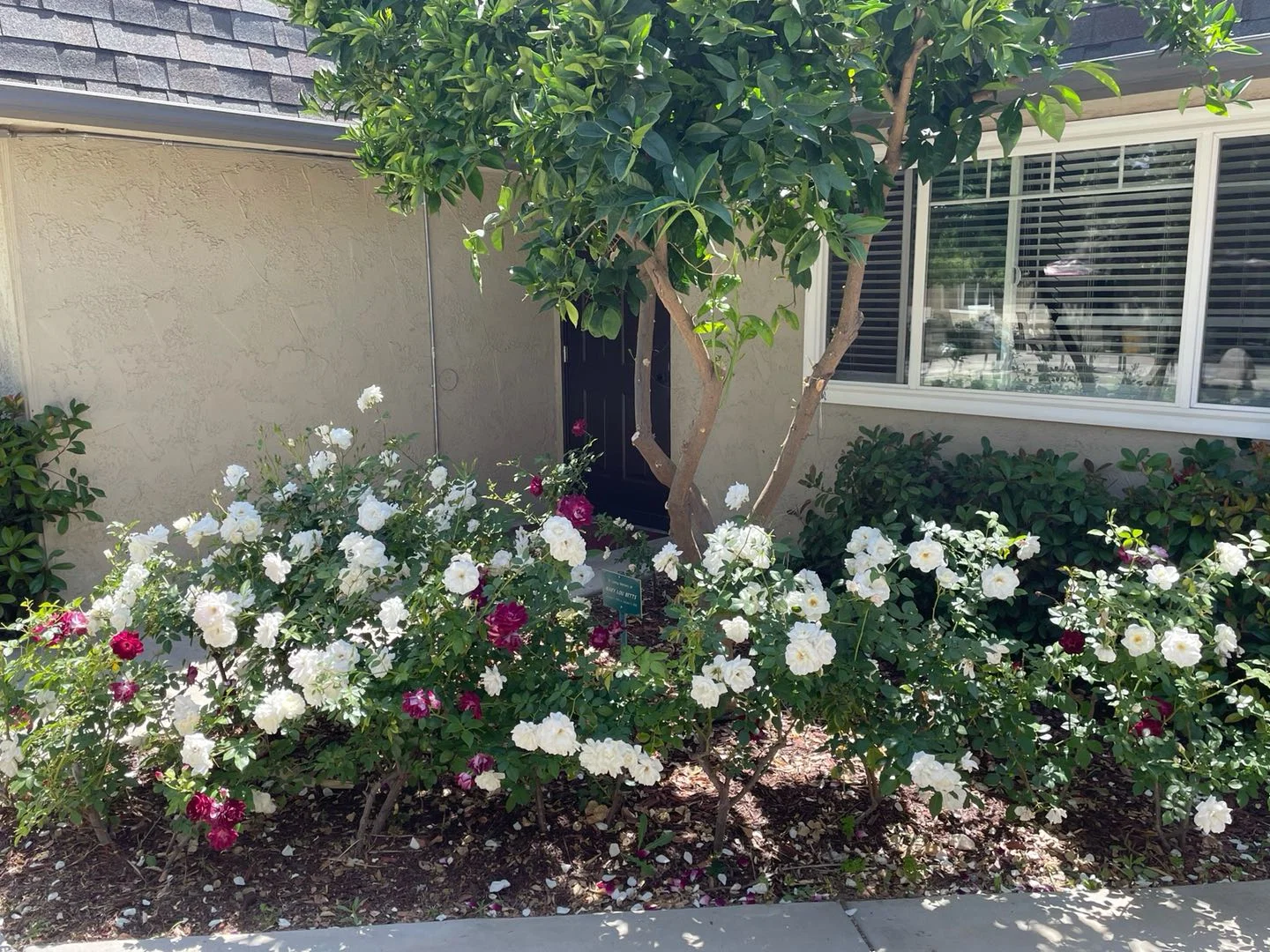 STANFORD COTTAGES SENIOR LIVING/CITRUS GARDENS