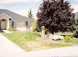 Sunny Ridge