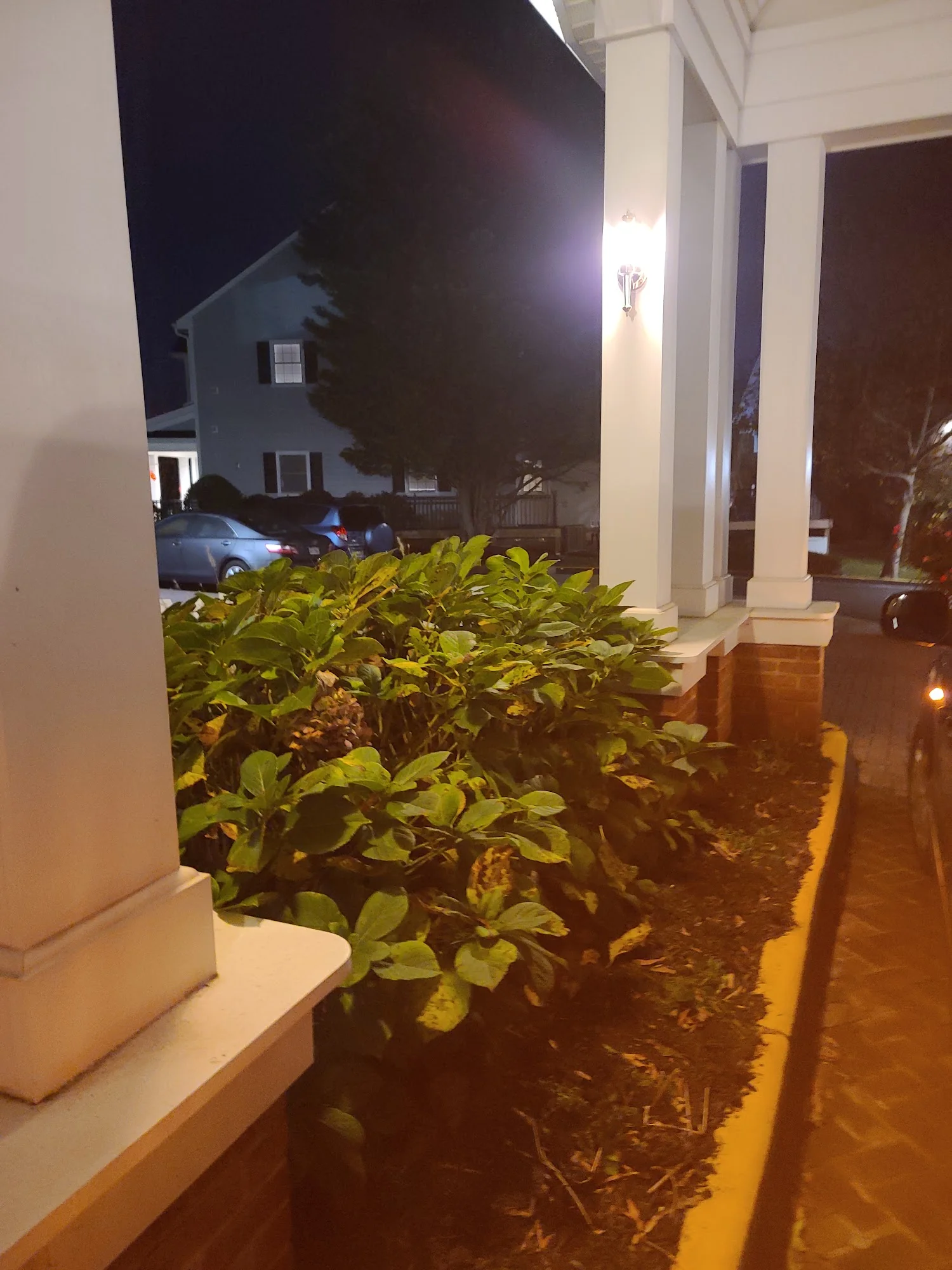 Sunrise of Falls Church