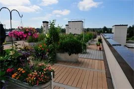 SUNSET GARDEN