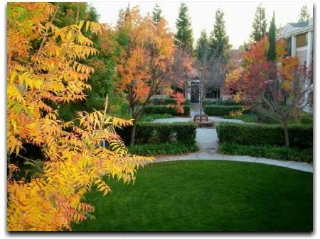 TERRACES OF LOS GATOS
