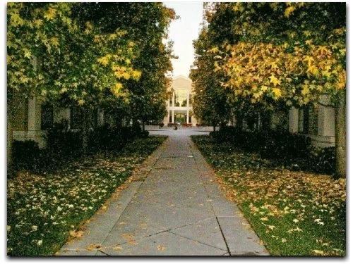 TERRACES OF LOS GATOS