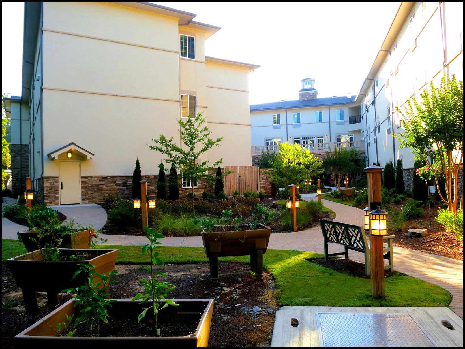 THE CAMBRIDGE