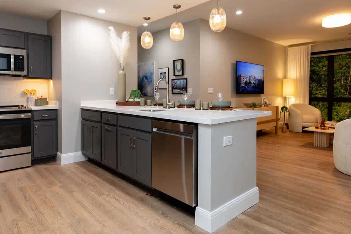 THE CARNEGIE AT WASHINGTONIAN CENTER - A KISCO SIGNATURE COMMUNITY