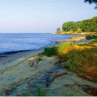 THE CHESAPEAKE