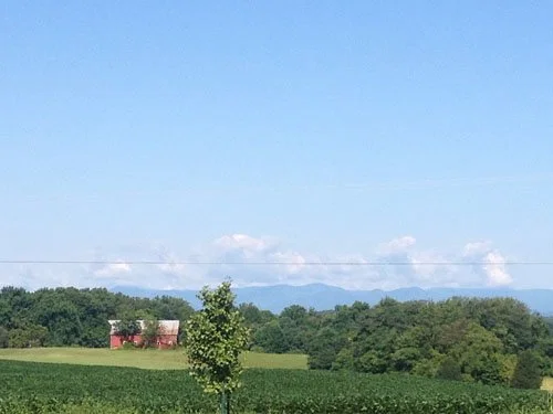 THE CULPEPER