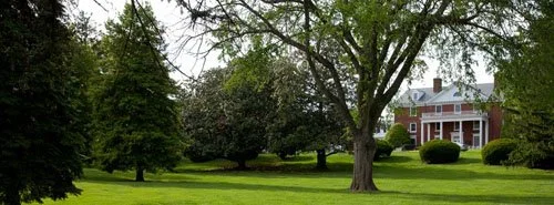 THE CULPEPER