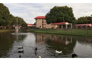 THE ESTATES AT CARPENTERS