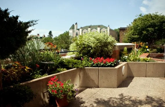 THE KENWOOD