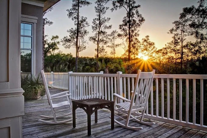 THE MARSHES OF SKIDAWAY ISLAND