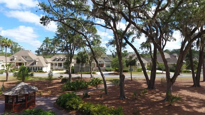 THE MARSHES OF SKIDAWAY ISLAND