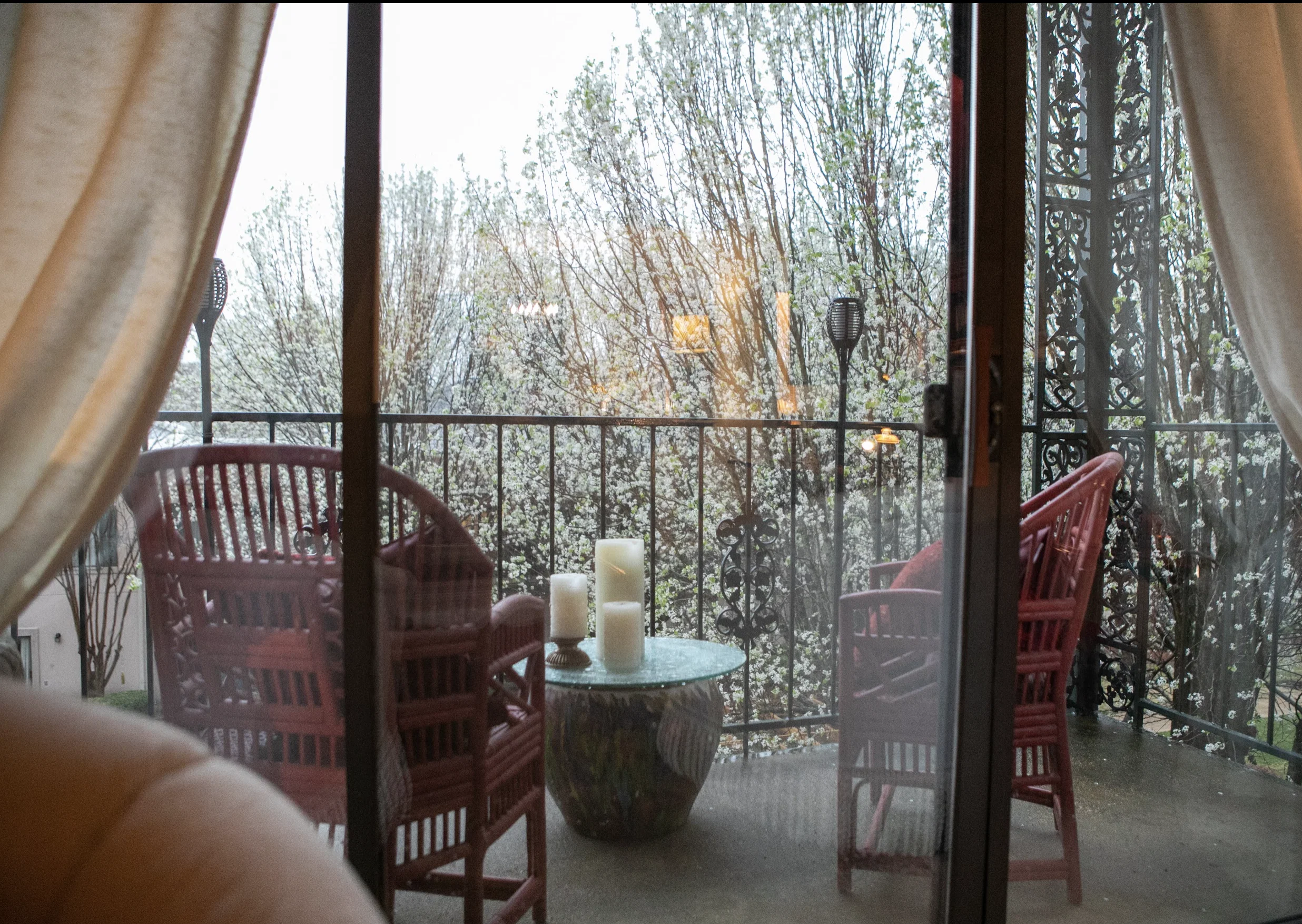 THE ORCHARD