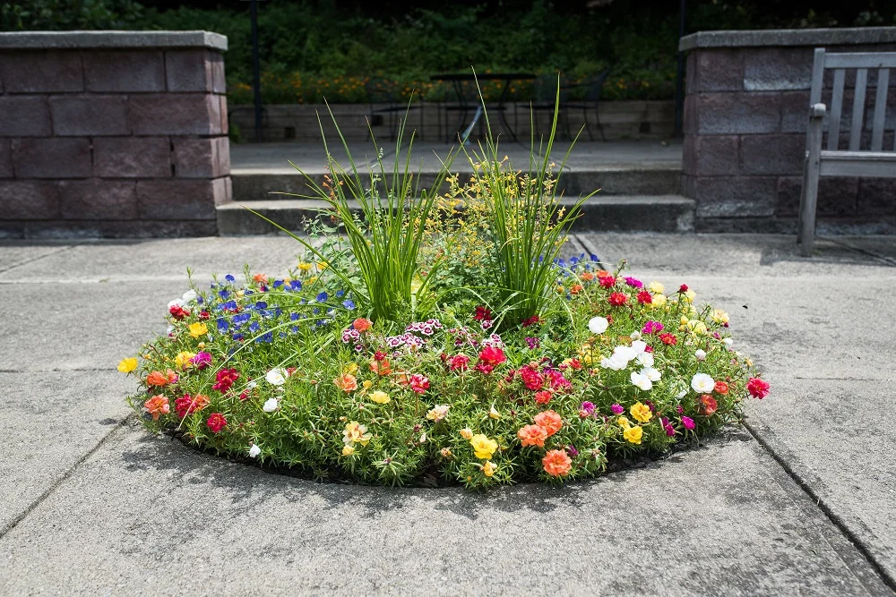 THE TERRACE AT EDDY MEMORIAL