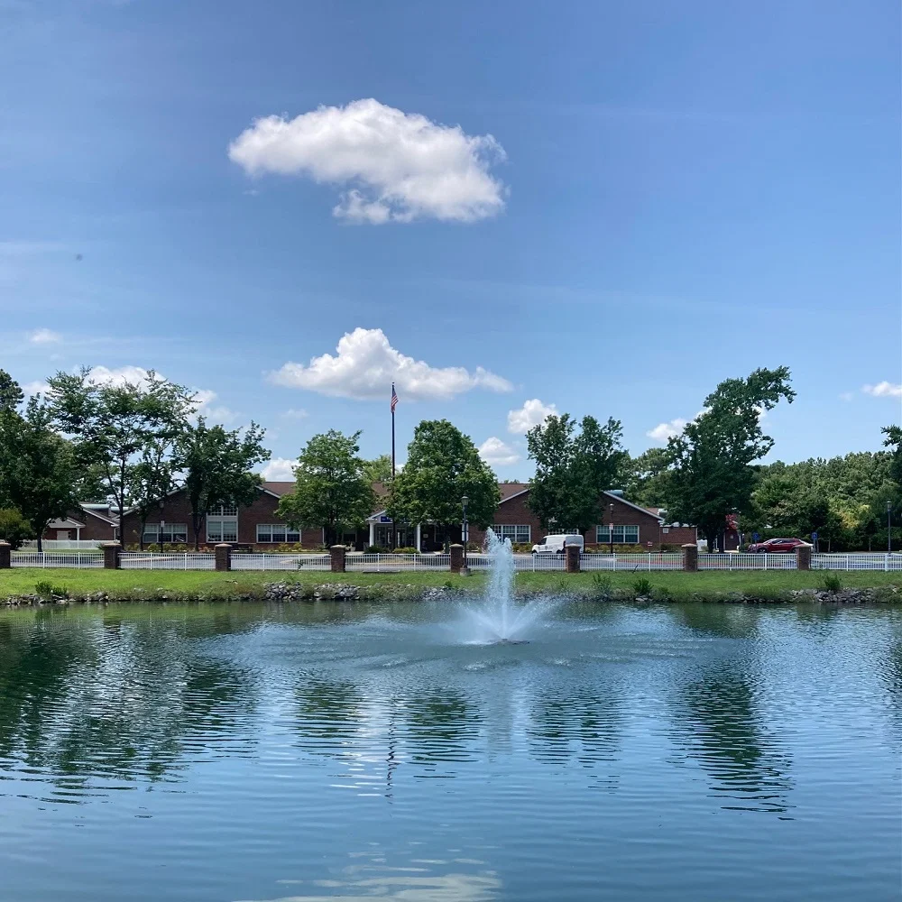 THE VILLAGES OF ROSEMONT