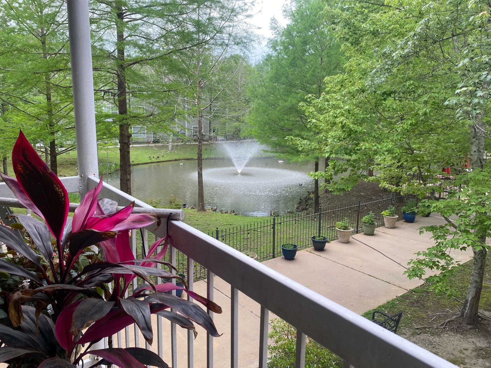 THE WINDSOR SENIOR LIVING COMMUNITY