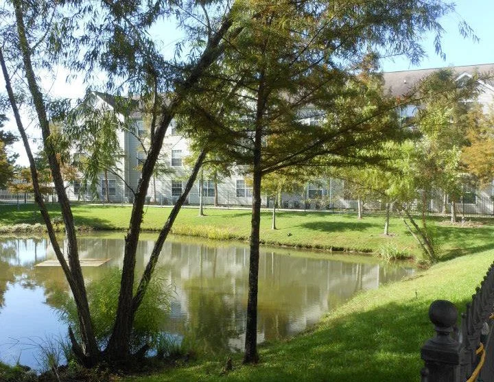 THE WINDSOR SENIOR LIVING COMMUNITY