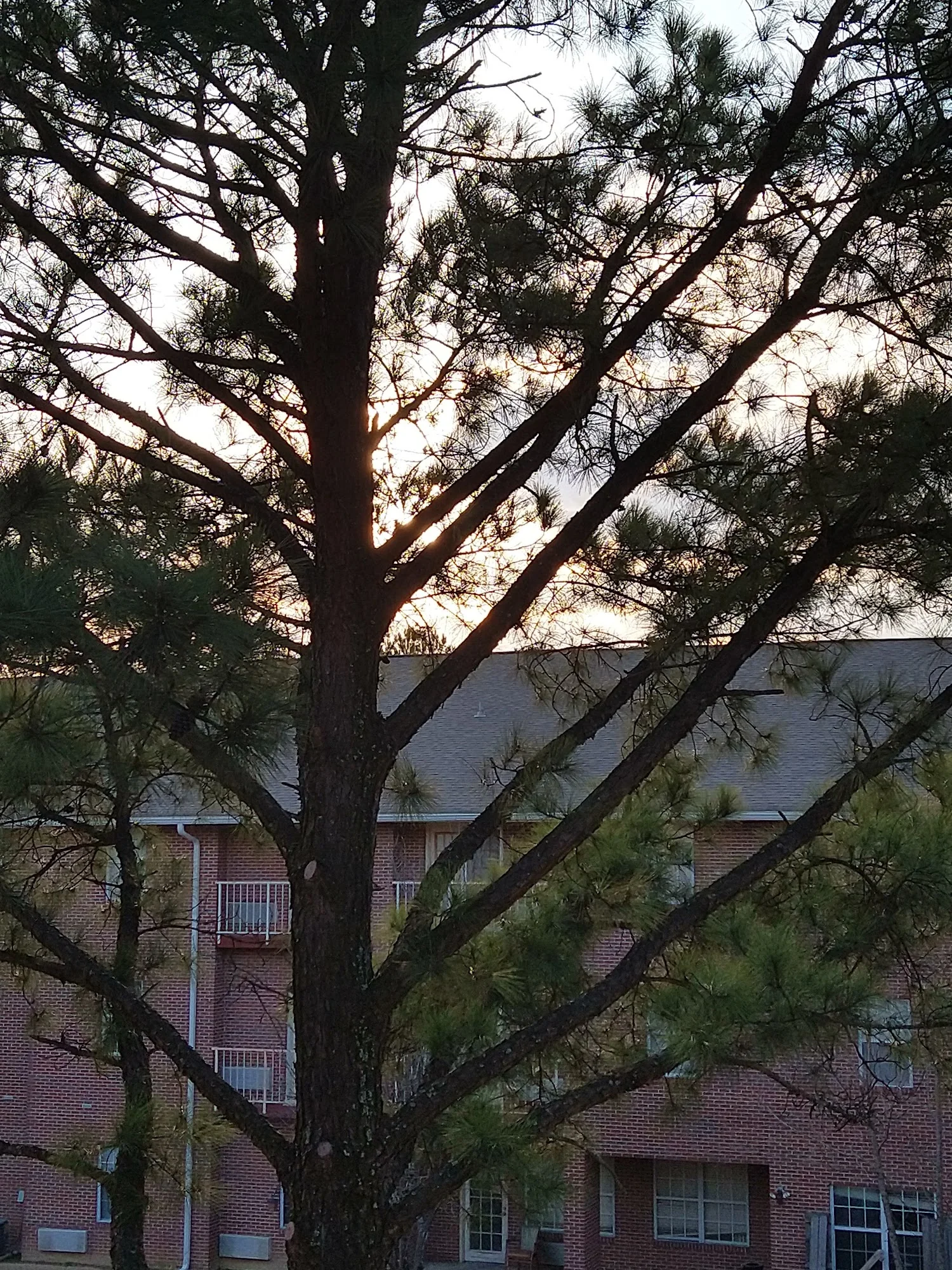 The Elevation at Autumn Ridge