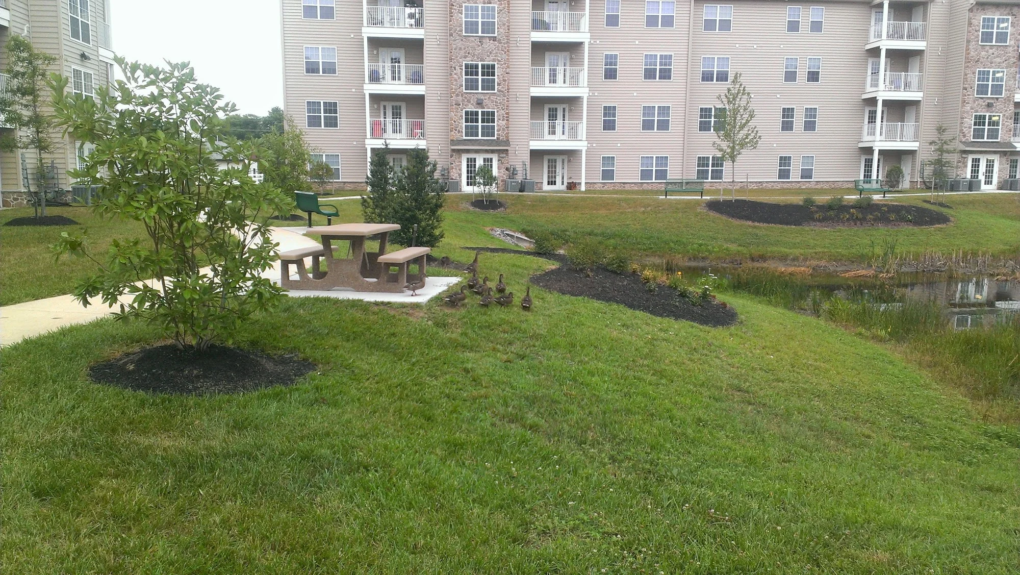 The Grande A 55+ Rental Community