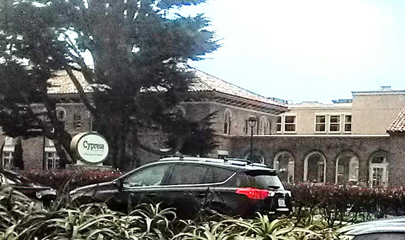 The Ivy Golden Gate