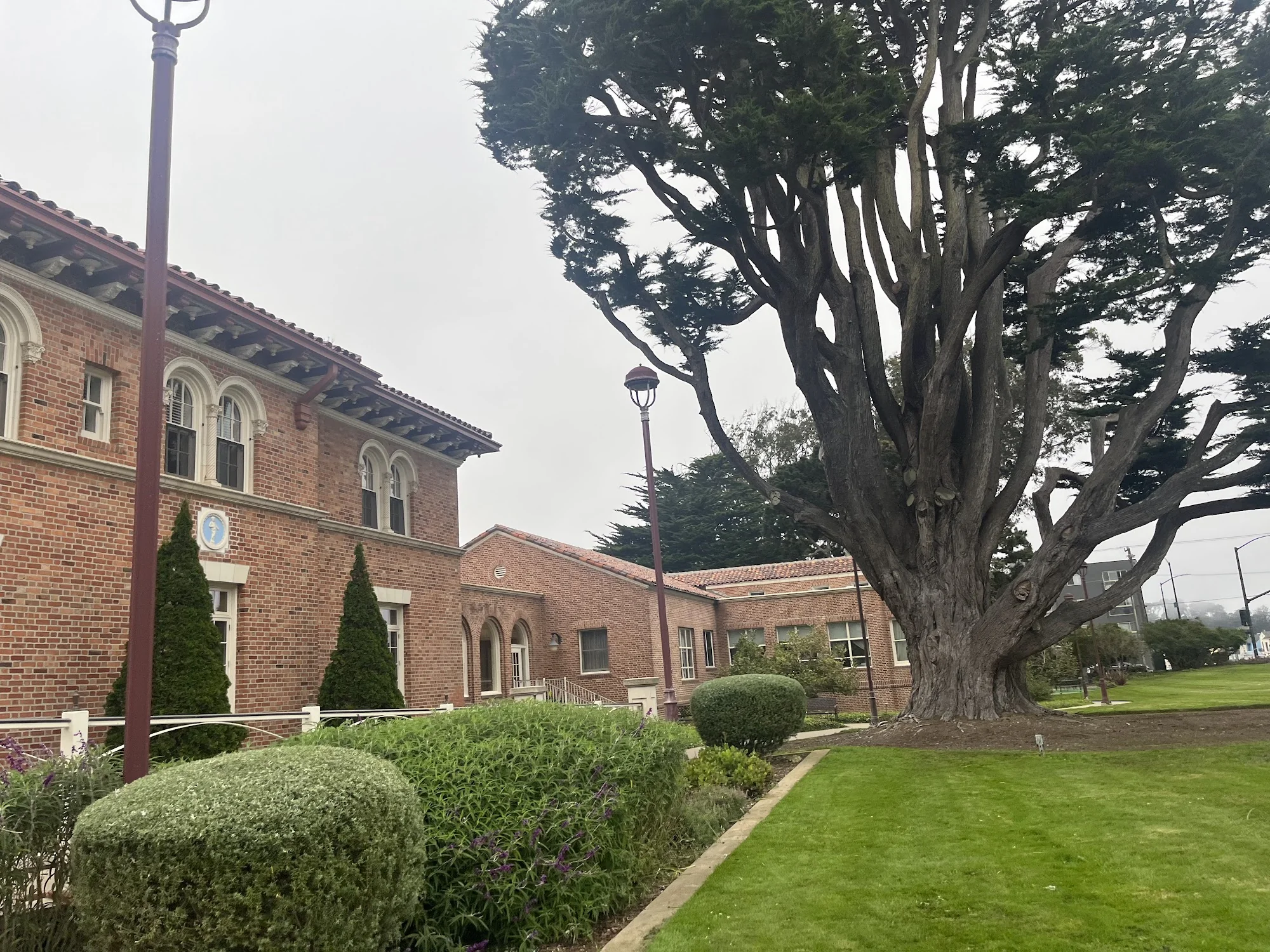 The Ivy Golden Gate