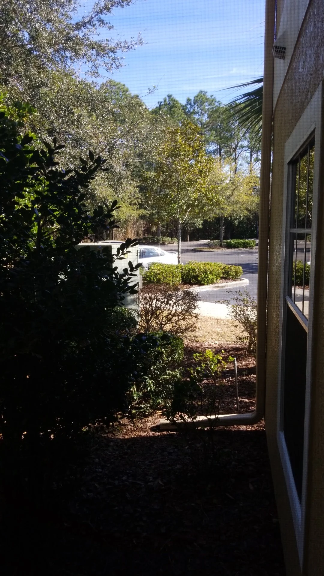 The Meetinghouse at Collins Cove Apartments
