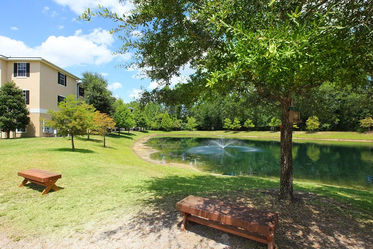 The Meetinghouse at Collins Cove Apartments