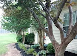 The Neighborhood at Madison