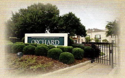 The Orchard