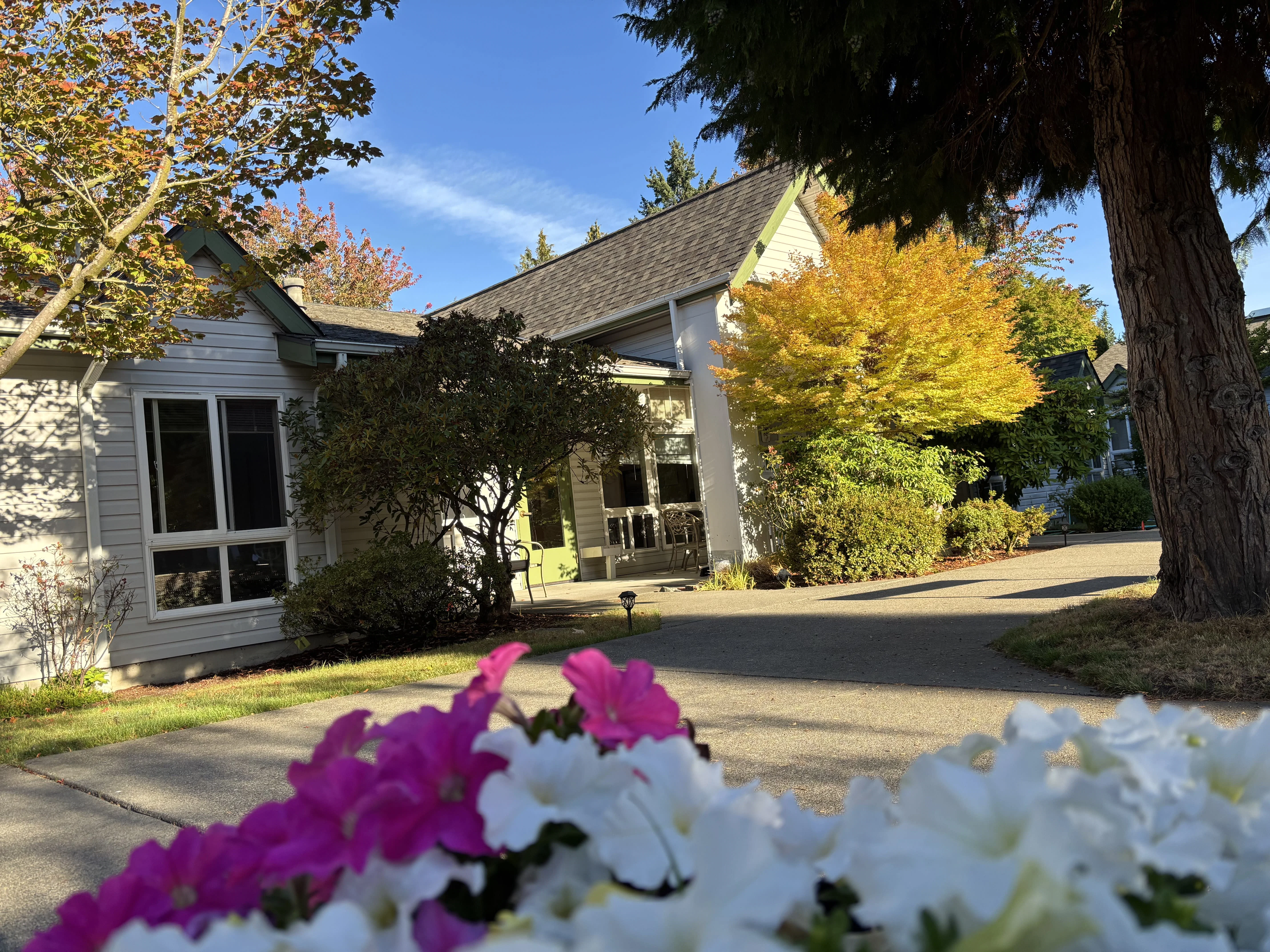 The Village at Broadview