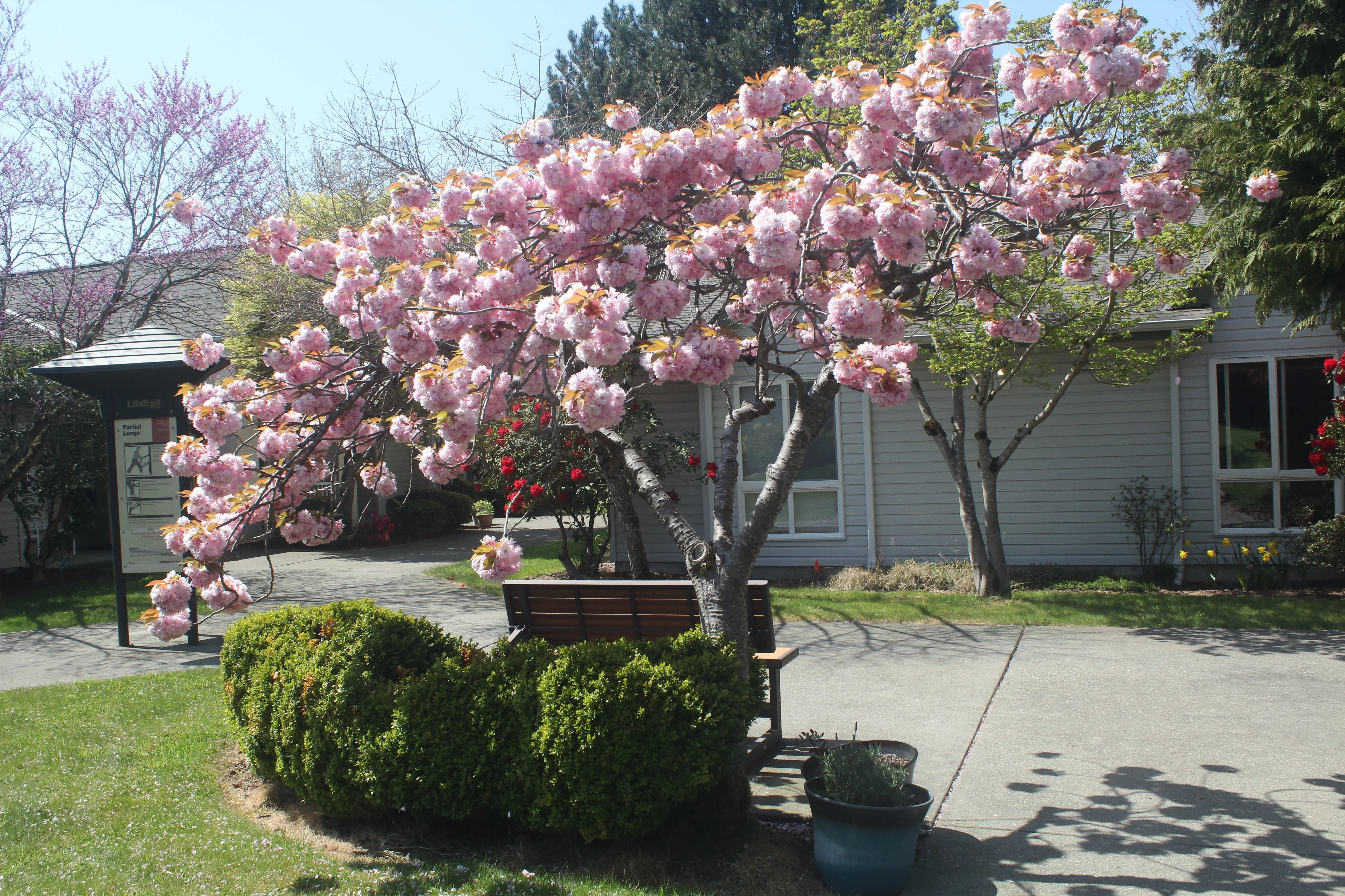 The Village at Broadview