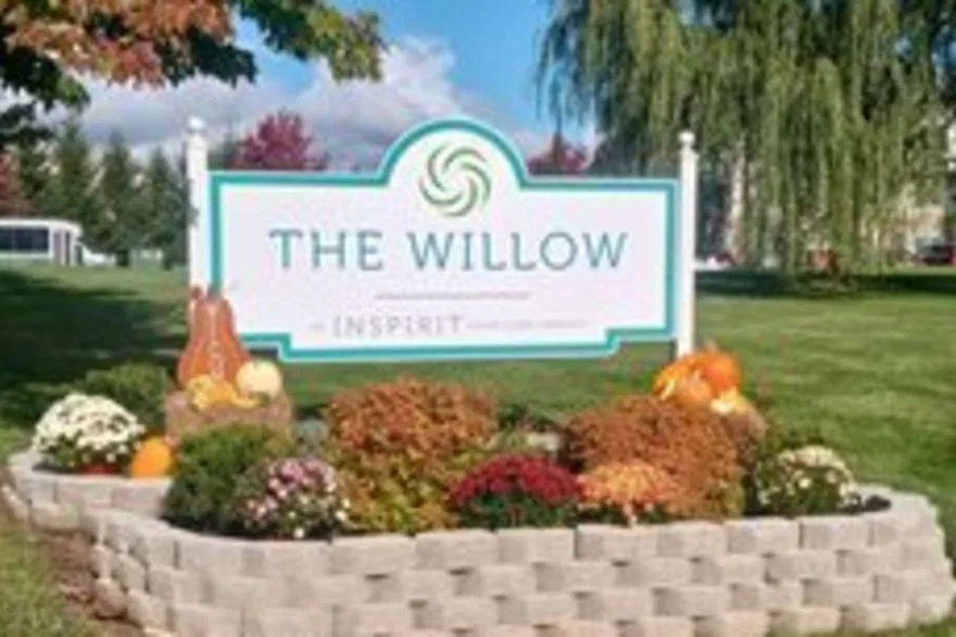 The Willow