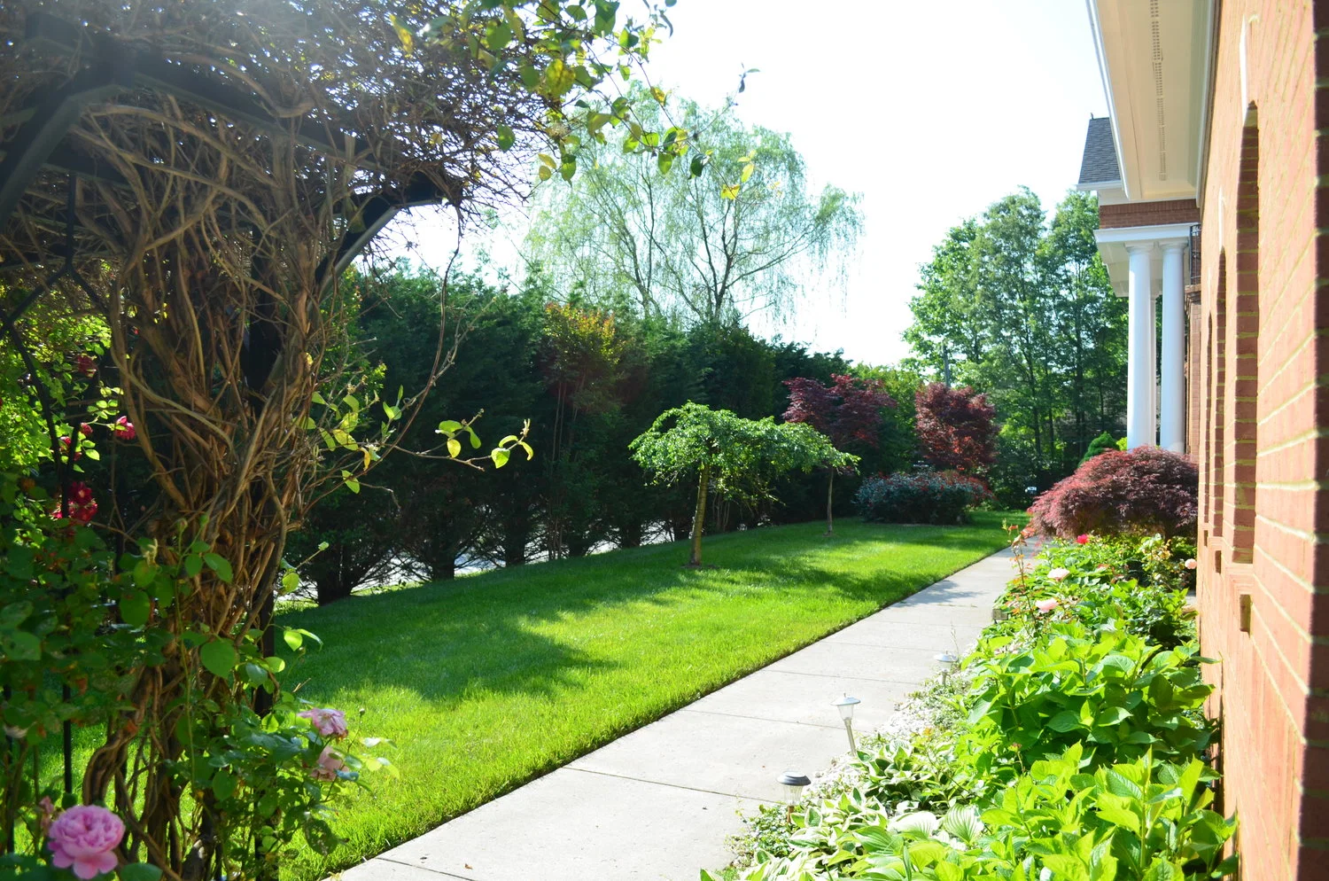 Vienna Manor Ii Assisted Living - Assisted Living photo