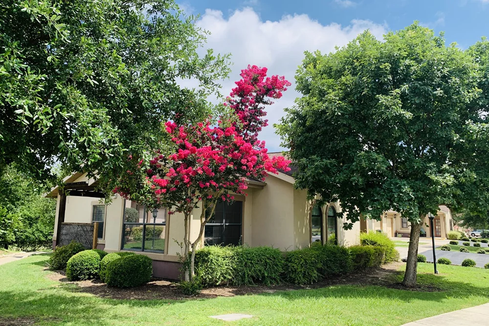 Villa de San Antonio Senior & Assisted Living