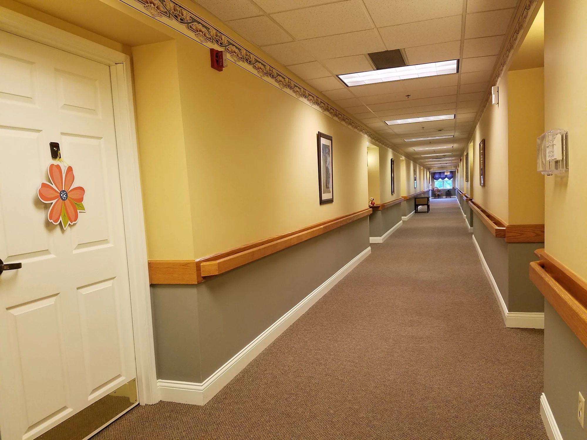 Vitality Living Springdale
