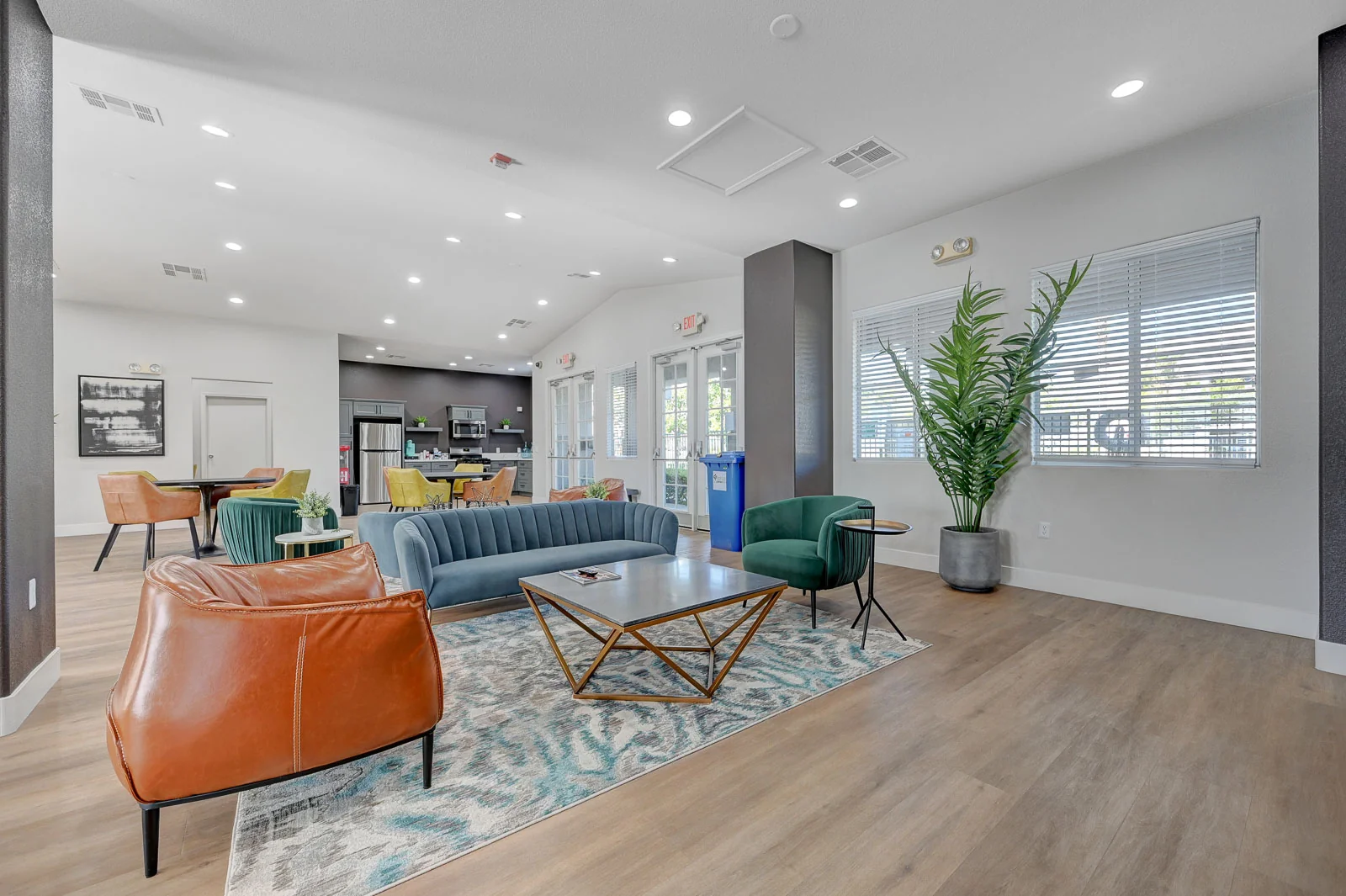 Vittoria at Equestrian