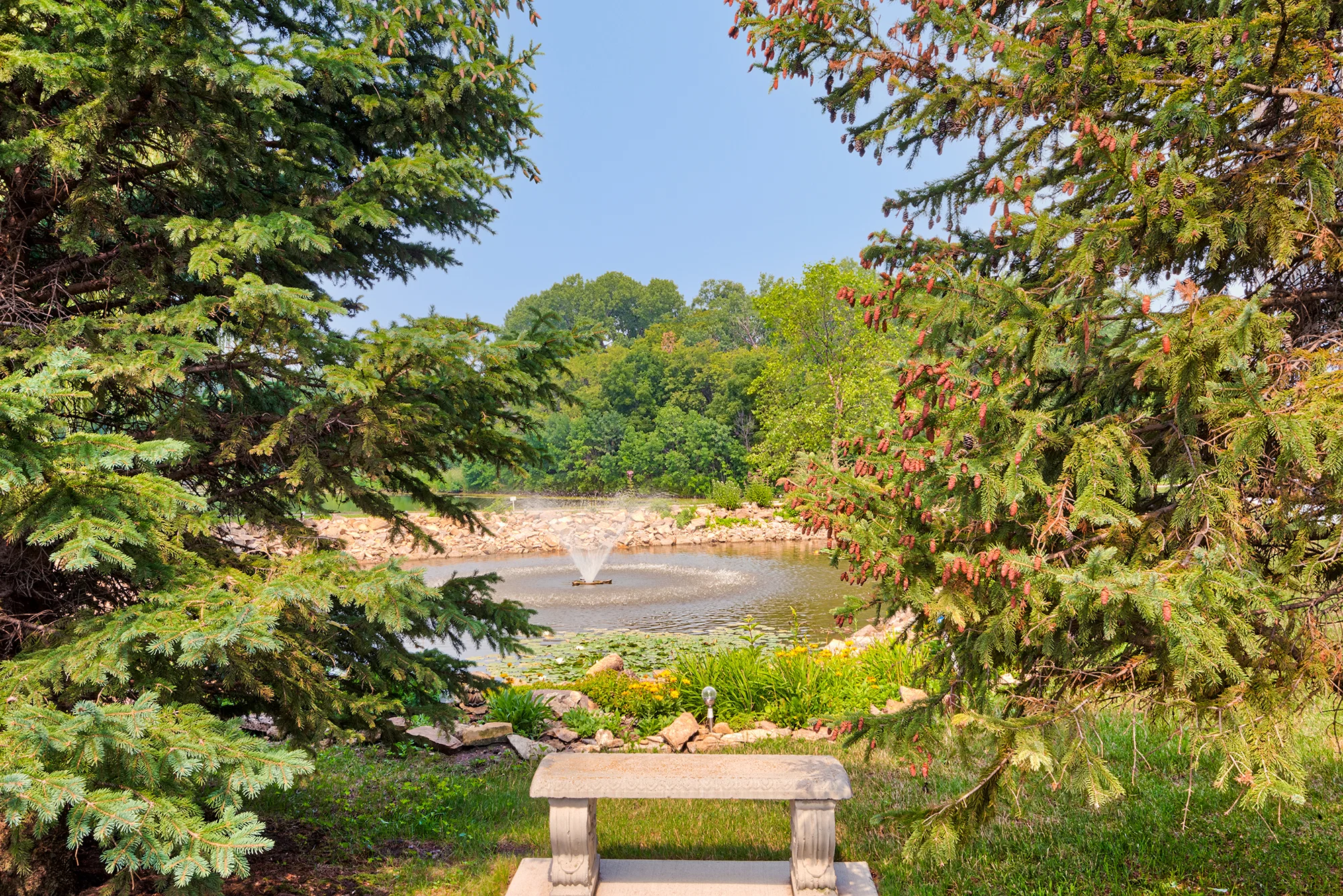 WATER'S EDGE
