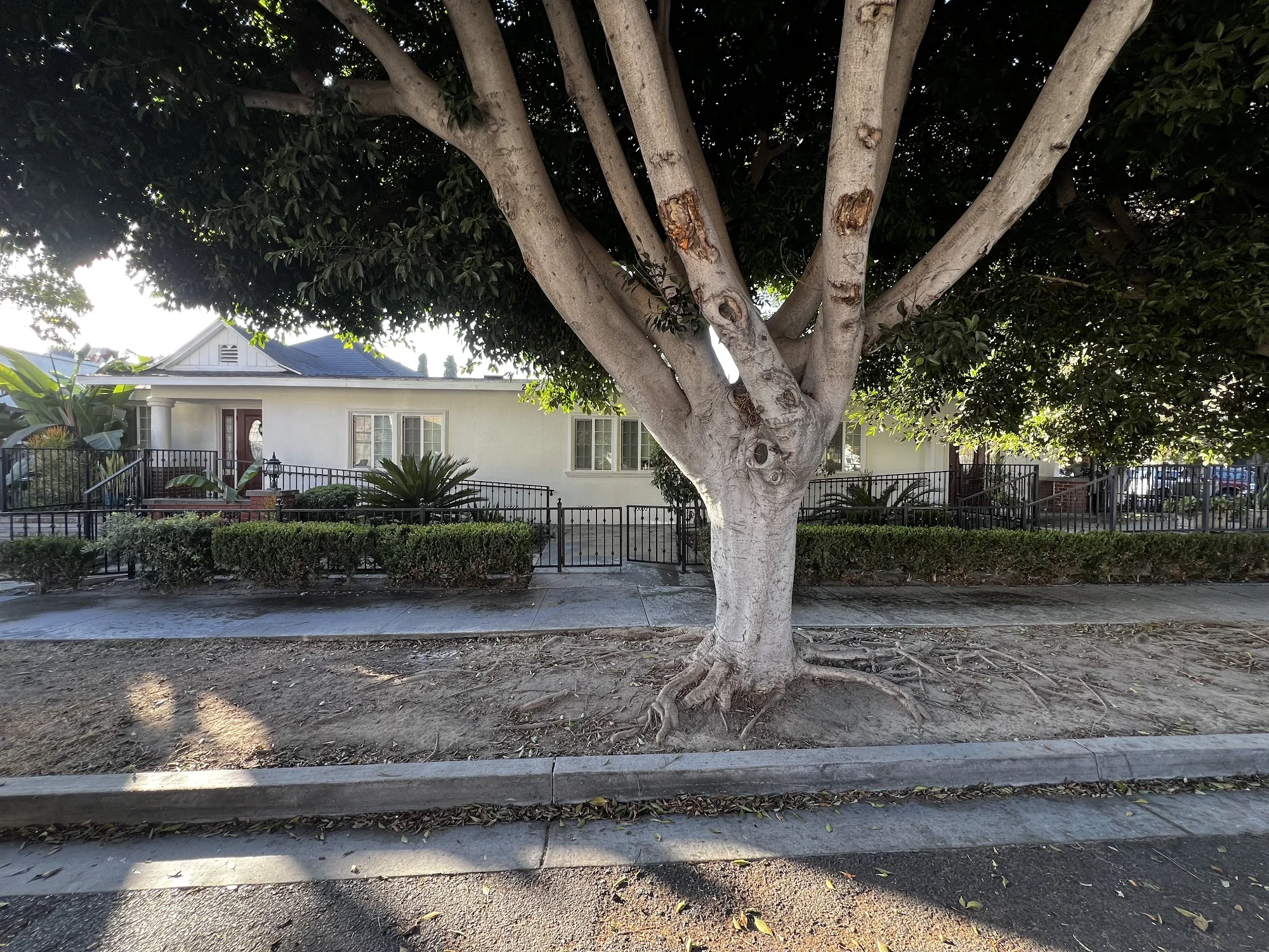 Wells House of California