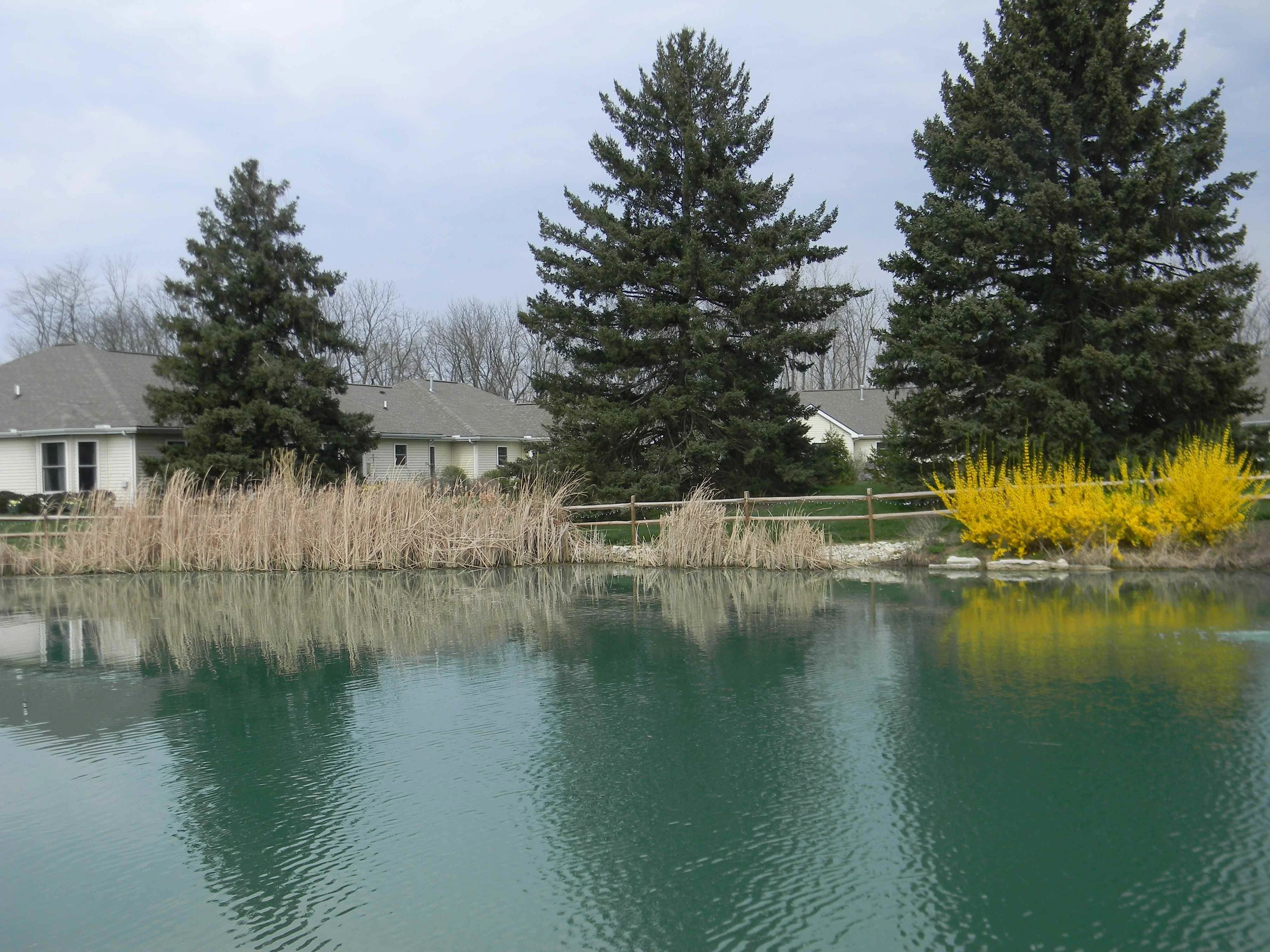 WILLOW BROOK AT DELAWARE RUN